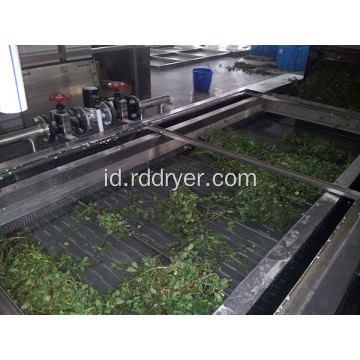 DW Continuous Belt Dryer Untuk Sayuran